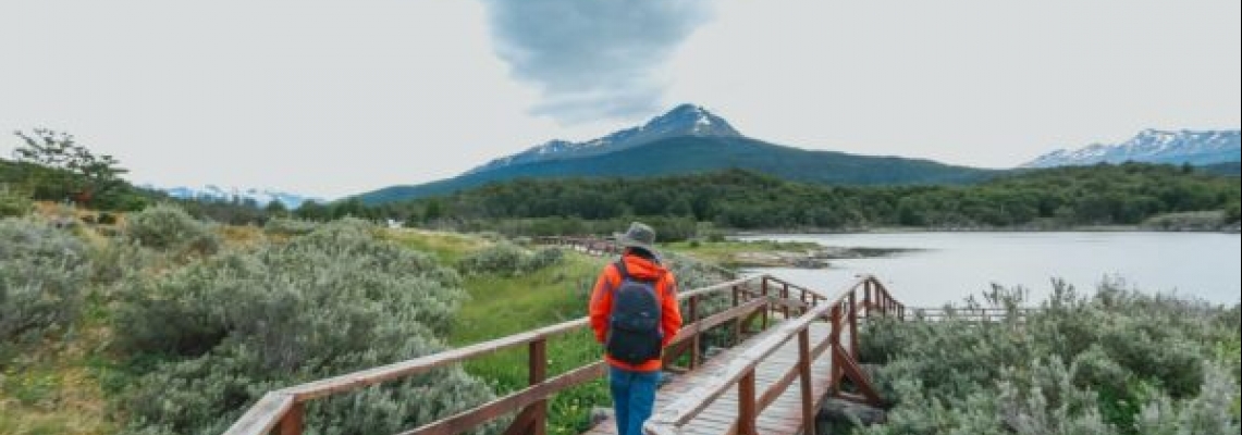 Paquete Parque Nacional + Navegación Lobos