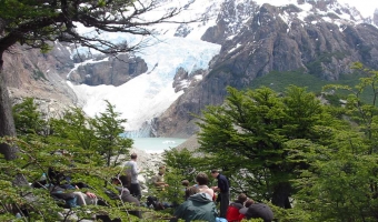 Transfer in y Out + Perito Moreno + Full Day Chaltén