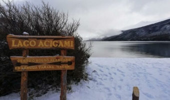 Paquete Parque Nacional + Navegación Lobos + Lagos Fueguinos